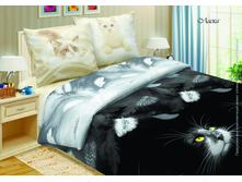 ������ �����. ��� ������!