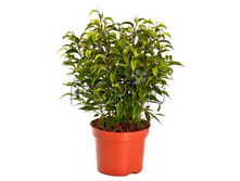 ����� ������ 12�30. 189 ���.jpg