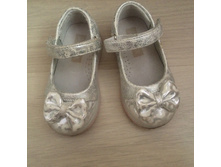 ����� �/� �.21