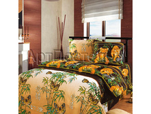 ��������� ���� (����������)