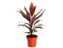 ��������� ����� 12�35. 173,19 ���.jpg