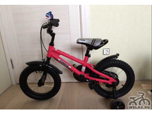 1431792422 Velosiped-kapella-s-14.jpg