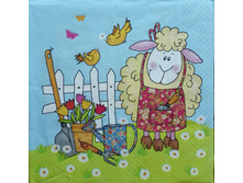 IMG 20160418 124231.jpg