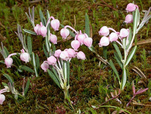 ��������� 320�.jpg