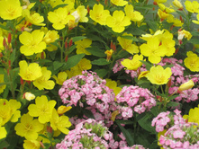 ����� 080.jpg