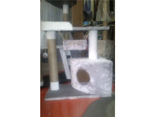 �� 1950 ��� "��������" 80��