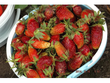 ���������� �������