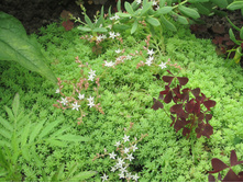 ���� 2014 219.jpg