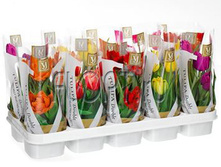 ������� �������� ���� 14�20. 213,15 ���.jpg