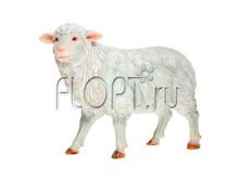 ������ ������ �� �����, 50x25x41��. 1775,17 ���.jpg