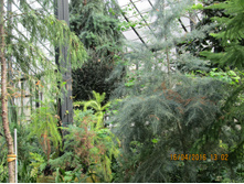 IMG 2915.JPG