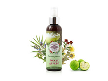 ����� ������ (���������� ��� ��������)