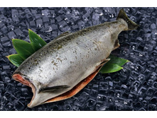 ������ ��������