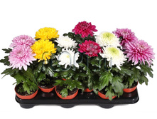 ���������� ��������� ���� 10�15. 133,98 ���.jpg