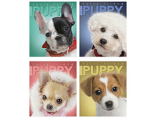 ������� 48�. �5 ������ �������. ����� �����, ������ 13,89.jpg