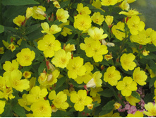 ����� 079.jpg