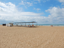 ���� ����, ���� 2015�