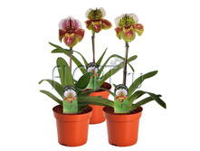 ������������� ������������ ��������� 12�30. 848,4 ���.jpg