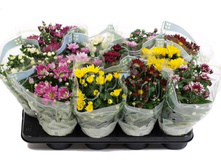 ���������� ���� 7��. 12�25. 123,64 ���.jpg