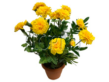 ���.����. �������� � ������ �17412. 35 ��. 799,68 ���.jpg