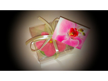 ������� ��������