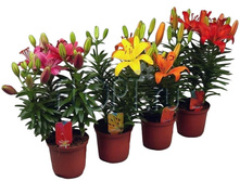 ����� ��������� ���� 13�40. 202,76 ���.jpg