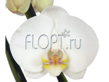 ���������� ������ 2���. 12�70. 714 ���.jpg