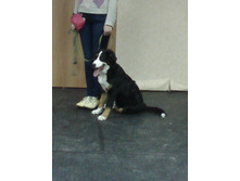 IMG 20160410 201417.jpg