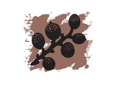 225 ���. ������ �����