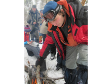 ���� ���������� ����������� ��� ������