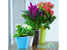 ������������, �����, ����������� - ����� ������ � ���� ������.