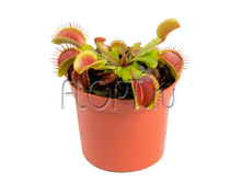 ������ 9�10. 348,48 ���.jpg