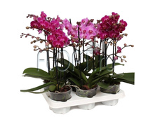 ���������� ��������������� 1���. ���� 3����� 9�25. 324,45 ���.jpg