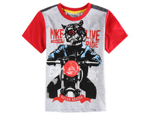 C6242Y-GREY 338�.+%