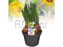 ������� ���������� 13�27. 134,4 ���.jpg