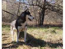 DSC07767.JPG