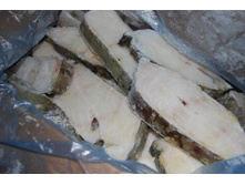 ������ ������� �����