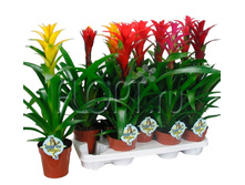 �������� ���� 13�45. 562,07 ���.jpg