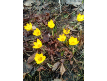 ������ �������� ������ 15 �