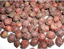 ��������� �������.jpg