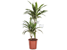 ������� ����� 2���. 19�80. 1274,36 ���.jpg