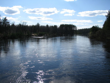 IMG 7595.jpg