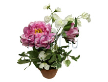 ���.����. ���� � ����� �38295. 30 ��. 761,6 ���.jpg