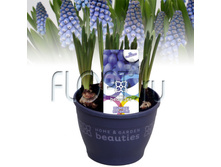 ������� ��� ����� 12�15. 134,4 ���.jpg