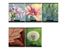 ������� 48�. �5 ������ �����������, ���������� ��-��� 22,236.jpg