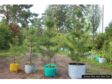 ������� ����� ���������� ����� ���� 3.jpg