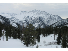 ��� �� ��� �������� � ������� �������