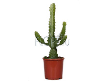 �������� ��������� 10�45. 392,23 ���.jpg