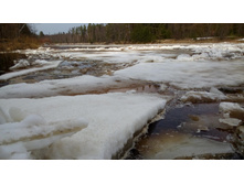 IMG 20160410 133740.jpg