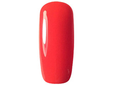 12 Delicate Coral.jpg